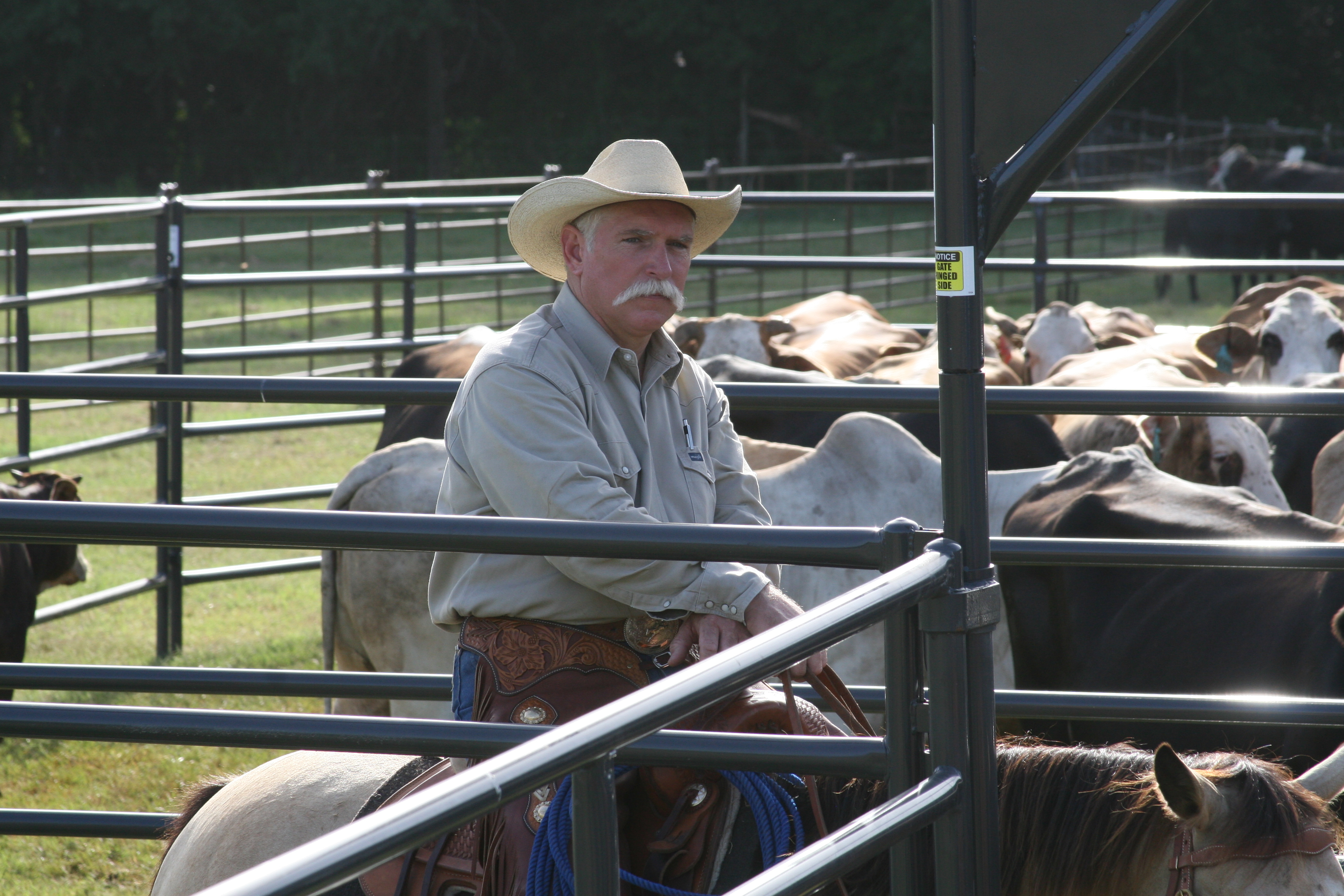 Rough Stock RSAP 05.JPG